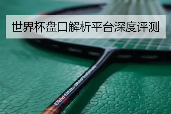世界杯盘口解析平台深度评测