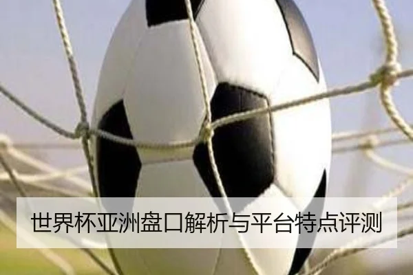 世界杯亚洲盘口解析与平台特点评测